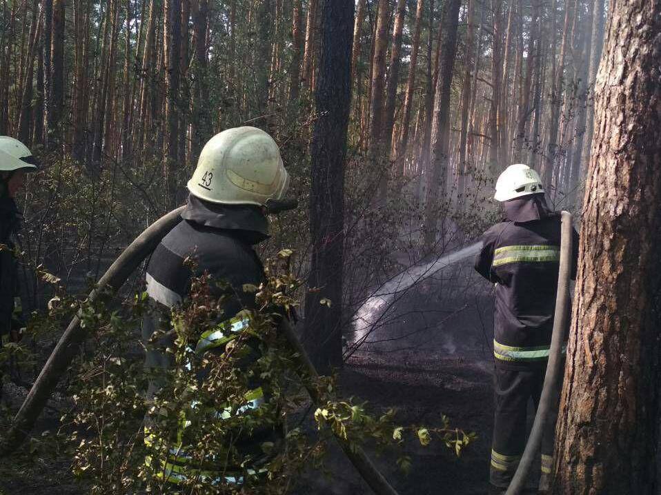 В Киеве масштабный пожар: загорелась лесопарковая зона 