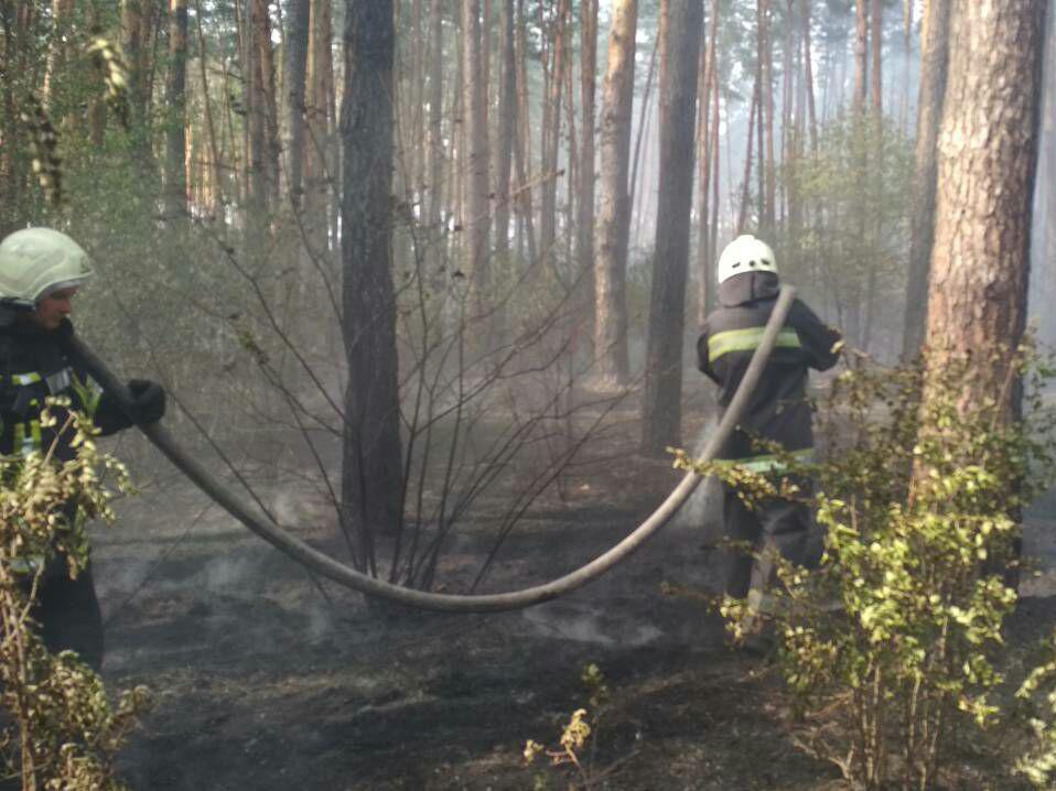 У Києві масштабна пожежа: загорілася лісопаркова зона