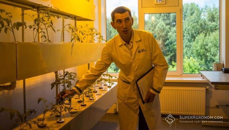 В Україні відкрито перший Інститут здоров’я рослин
