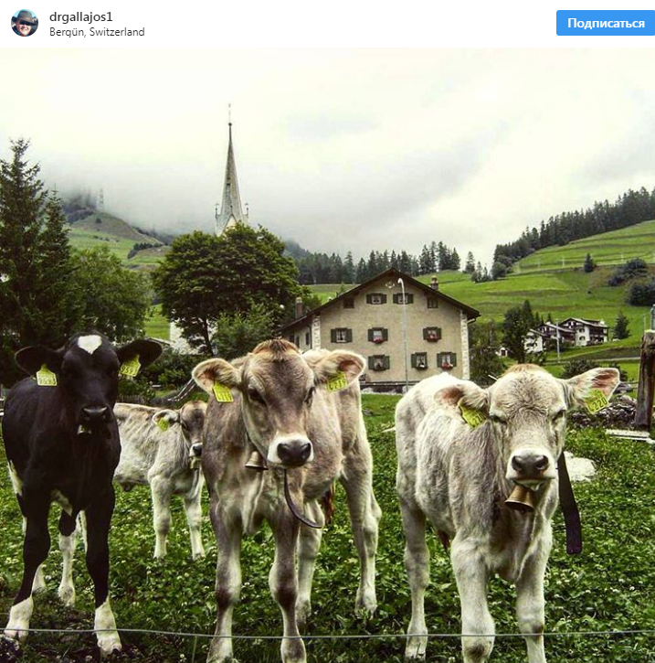 В сеть попали фото альпийского города, который нельзя снимать