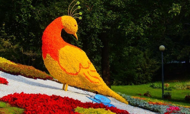 В Киеве покажут гигантские инсталляции из цветов