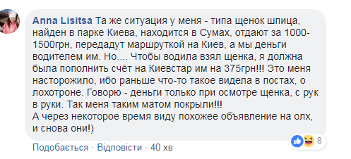 Попали на крючок: в Киеве разоблачили аферу с животными в интернете