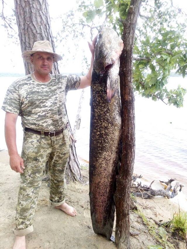 Український рибалка зловив сома-велетня: фото диво-риби