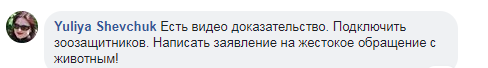 Бьет в морду и живот: живодер с Ивано-Франковщины попал на видео 