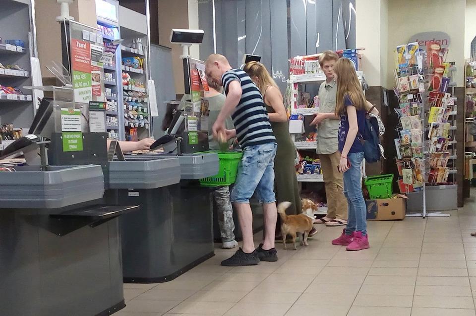 "Она же маленькая!" Киевлян возмутил случай с собакой в супермаркете
