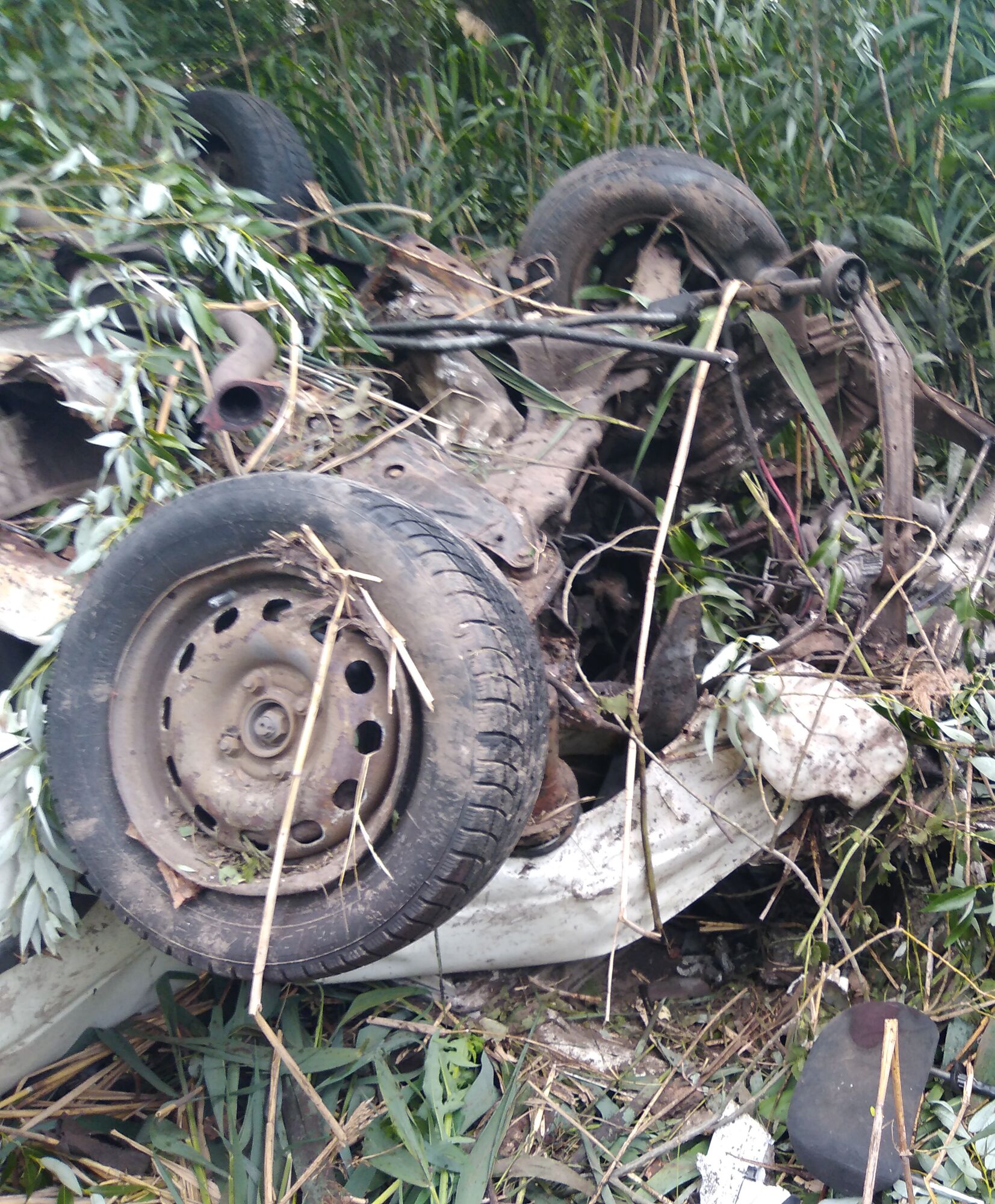 Згоріла заживо: в Полтавській області сталася масштабна ДТП