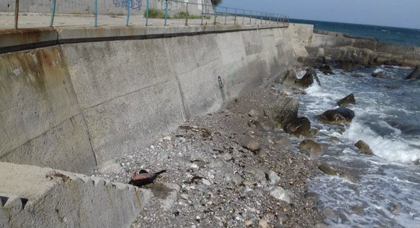 "Мусор и мертвый дельфин": появились новые фото из пляжей Крыма