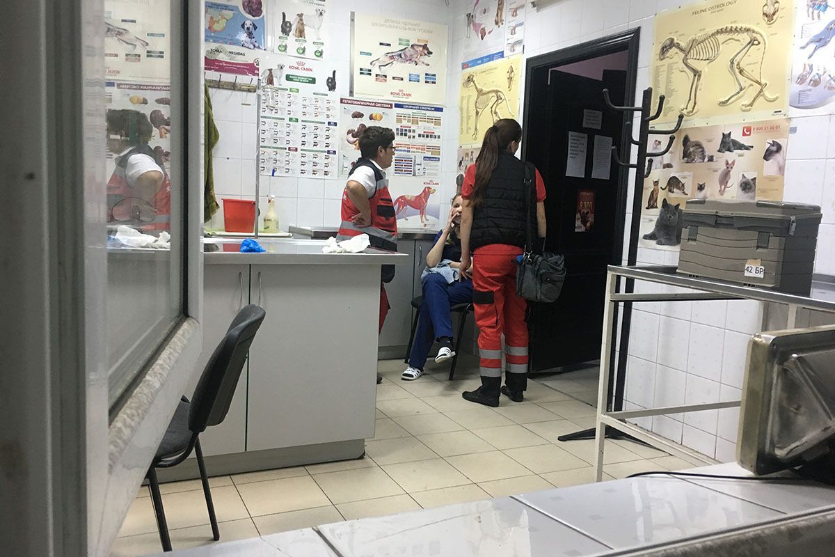 "Бил огнетушителем и ножом": в Киеве напали на врачей прямо в клинике 