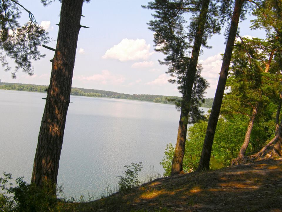 Алмазное: самое большое озеро Киева