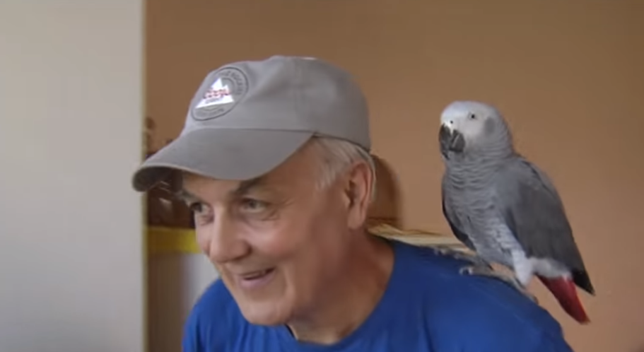 Под Киевом нашли огромного попугая