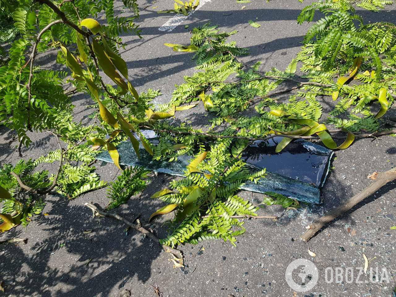 У Києві біля Ради дерево звалилося на авто: ексклюзивні фото