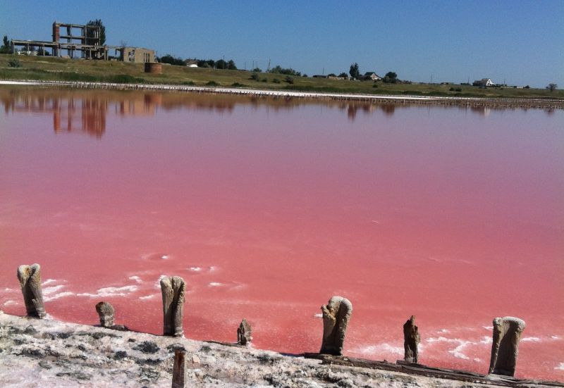 Розовое озеро на Херсонщине: невероятные фото