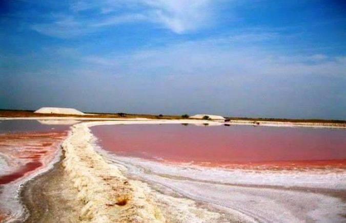 Розовое озеро на Херсонщине: невероятные фото