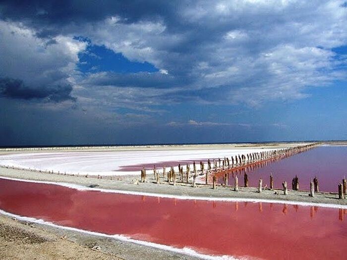 Рожеве озеро на Херсонщині: опубліковані неймовірні фото