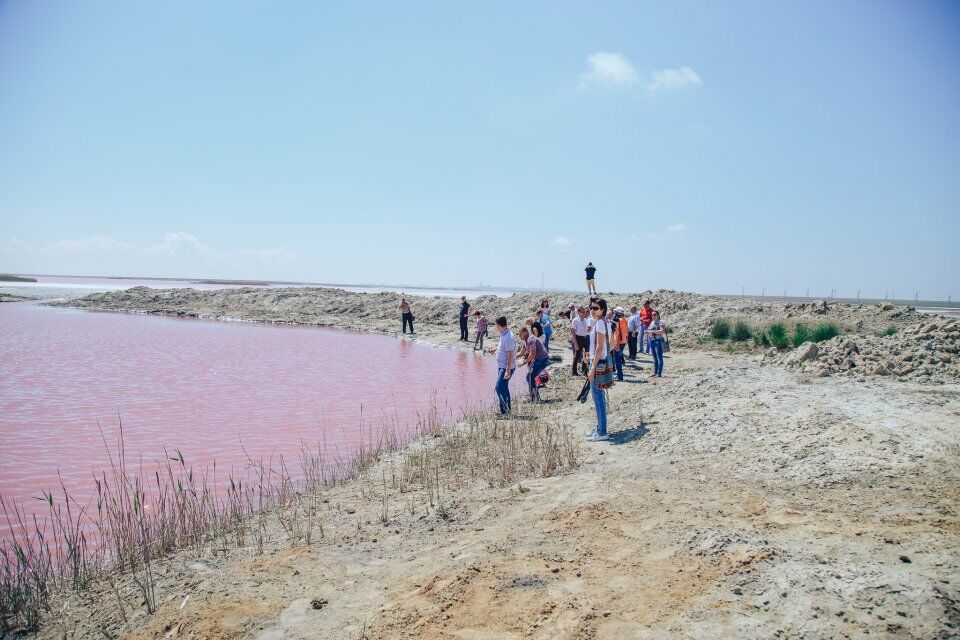 Рожеве озеро на Херсонщині: неймовірні фото