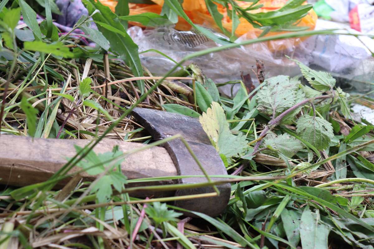 Во Львове разгромили табор ромов: есть убитый, ранен ребенок