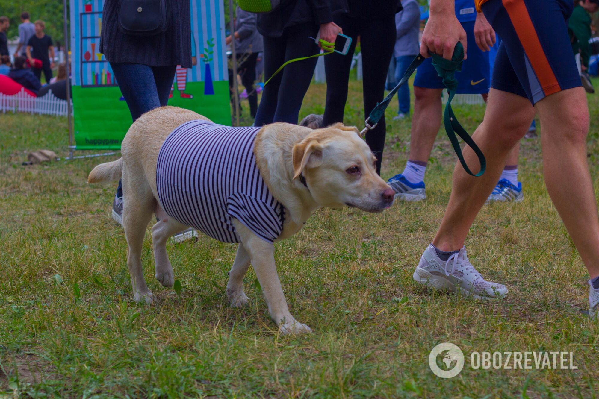Как киевляне бегали с собаками: яркий фоторепортаж