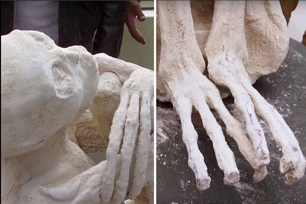Три пальці і немає вух: учені оголосили про виявлення нового виду людини. Реальні фото