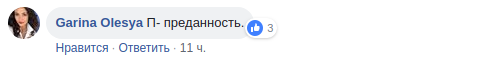 Настоящая преданность: сеть растрогало фото пса, охранявшего погибшую подругу