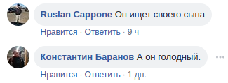 Это десерт: в Киеве в популярном фаст-фуде нашли таракана