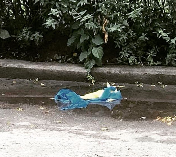 На Львовщине заметили изуродованный флаг Украины: опубликованы фото 
