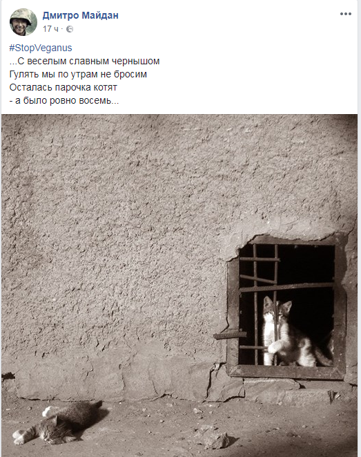Живодер или тролль? Провокационные посты бойца АТО о котах разделили украинцев