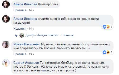 Живодер или тролль? Провокационные посты бойца АТО о котах разделили украинцев