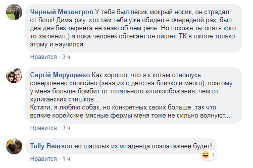 Живодер или тролль? Провокационные посты бойца АТО о котах разделили украинцев