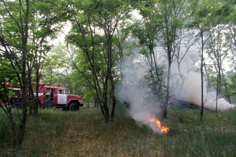 Масштабна пожежа в Чорнобилі: з'явилися свіжі фото і відео