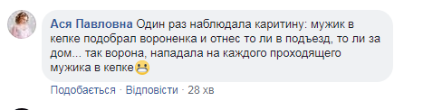 "Постійно нападають": у Києві хижаки почали атакувати людей прямо на вулицях