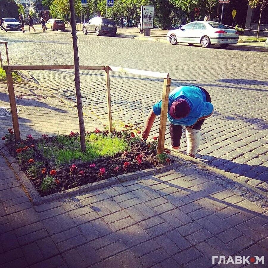 Бездомная облагородила участок в Киеве
