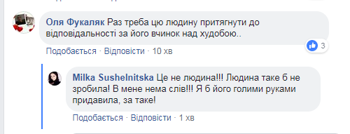 "Это не человек!" На Закарпатье бывший лесничий по-садистски поступил с лошадью