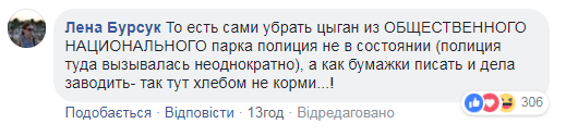 "ЖК "Айнене": разгром лагеря ромов в Киеве вызвал спор в сети