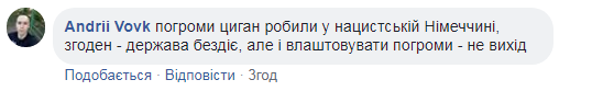 "ЖК" Айнене ": розгром табору ромів в Києві викликав суперечку в мережі