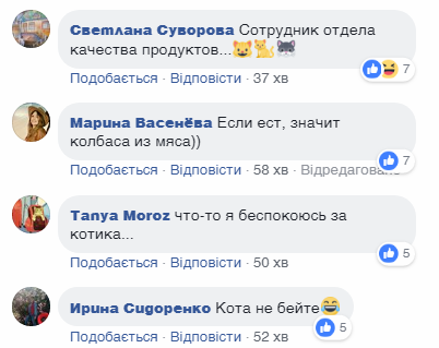 "Хорошая колбаса, надо брать!" Киевлян поразило видео с котом, который "взломал" супермаркет