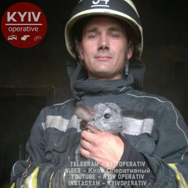 Под Киевом вспыхнул масштабный пожар: появились новые подробности