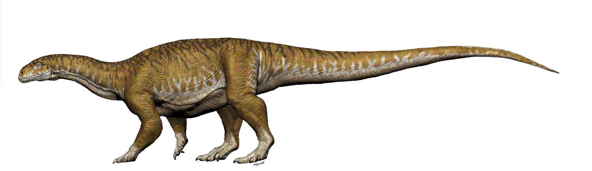 10 тонн: обнаружен новый вид гигантских динозавров