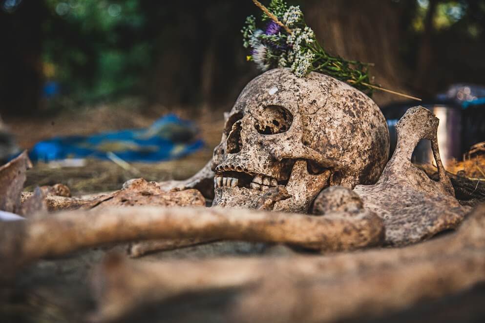 Під Запоріжжям розкопали скелет середньовічного охоронця. Фото та відео