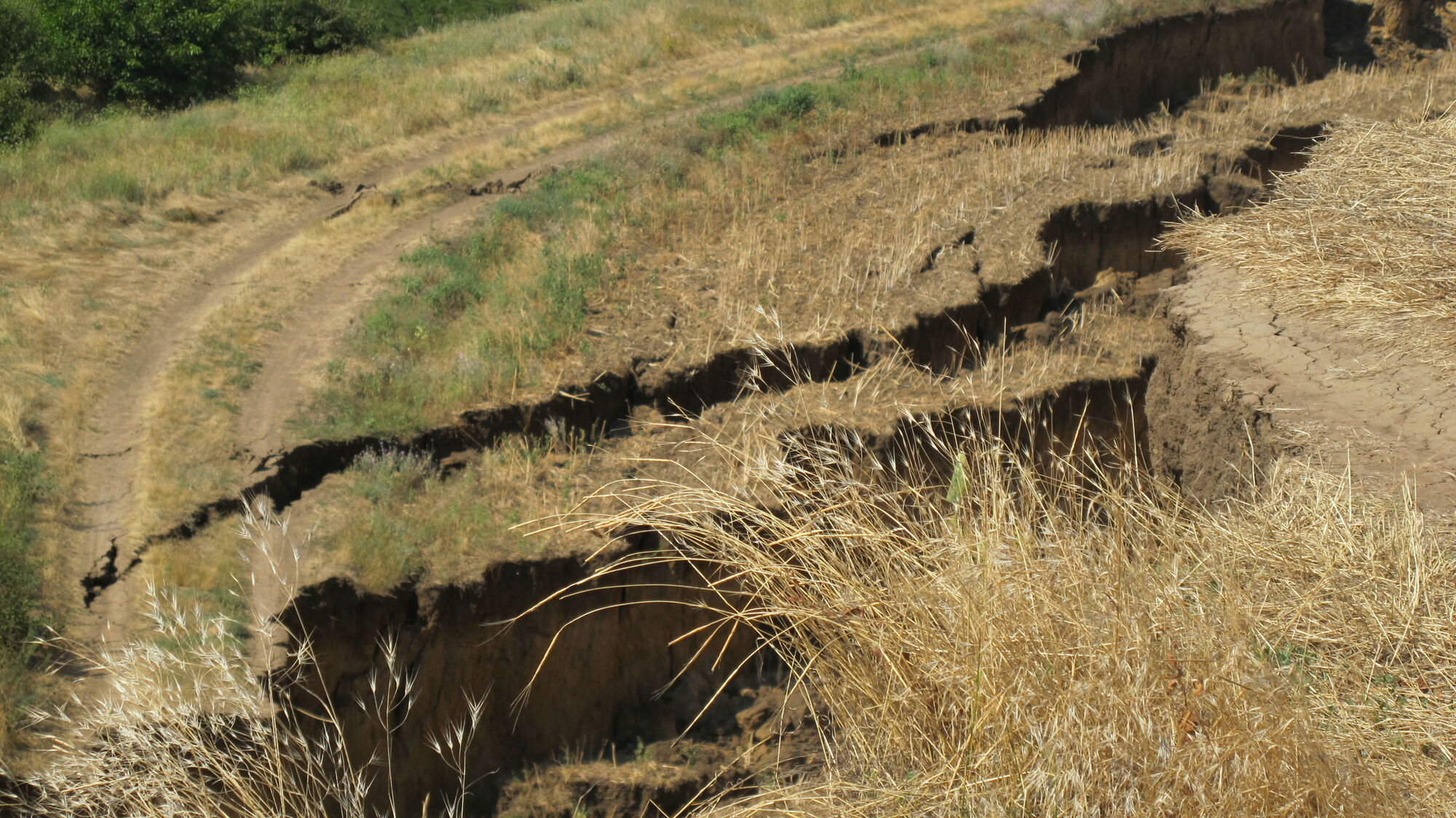 На Одещині знову стався гігантський зсув: фото