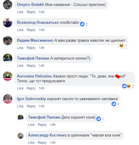 "Совок не убієнний!" Харківський чиновник відзначився килимом посеред села