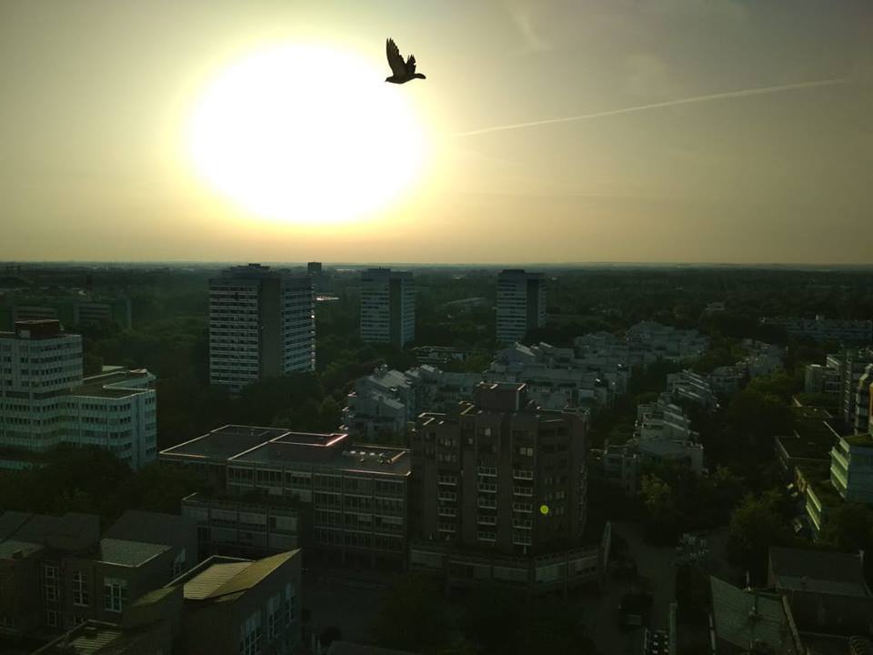 Вид з вікна лікарні