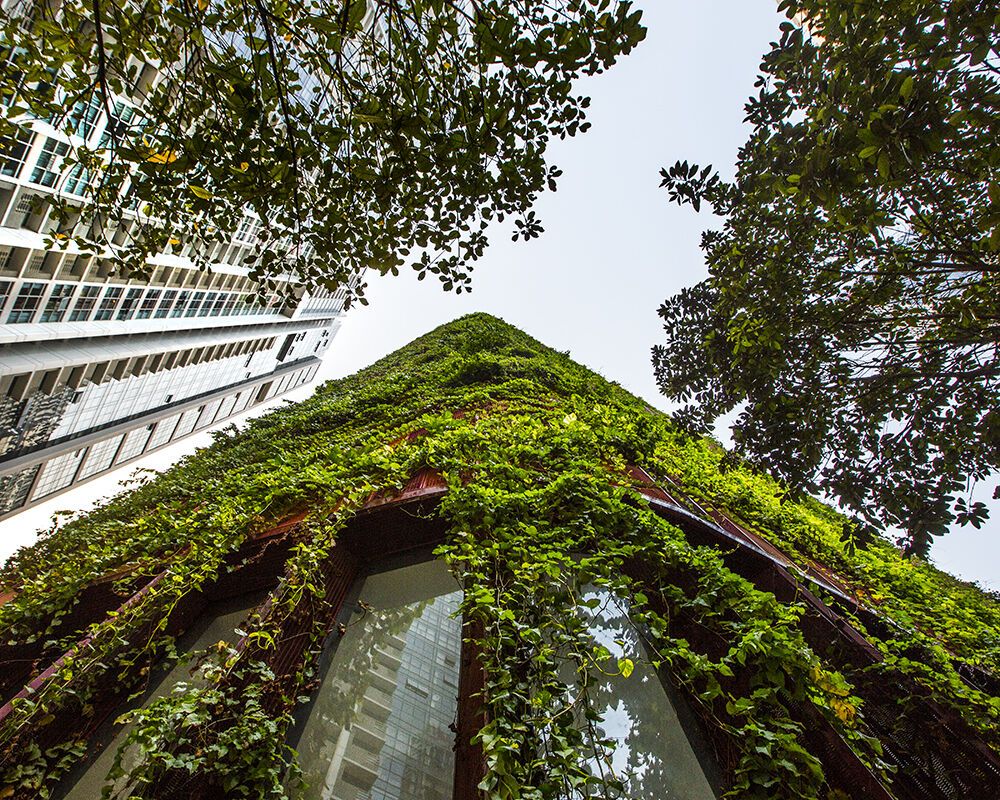 Покрыт лианами и деревьями: как выглядит лучший небоскреб в мире. Фото, видео