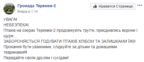 Гинуть ворони і щури: у Києві назріває екологічне лихо