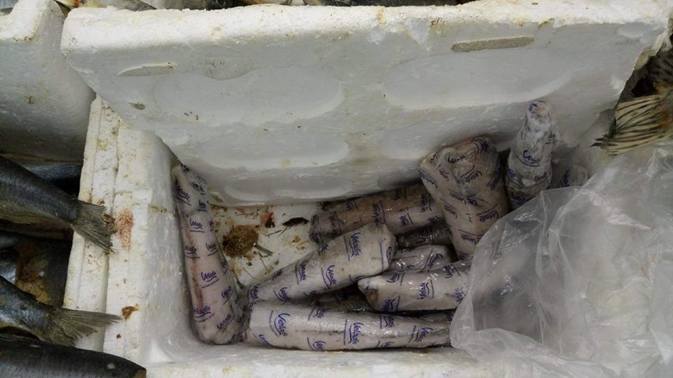 "А таргани скільки коштують?" Огидна знахідка в супермаркеті Києва обурила покупців