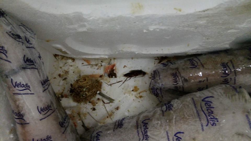 "Почем тараканы?" Отвратительная находка в супермаркете Киева возмутила покупателей