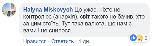 "Український безліс": мережу вразило відео масового вивезення дерев з України