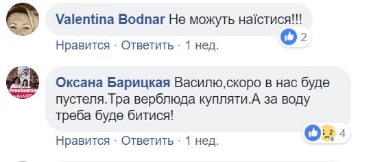 "Украинский безлес": сеть поразило видео массового вывоза деревьев из Украины 