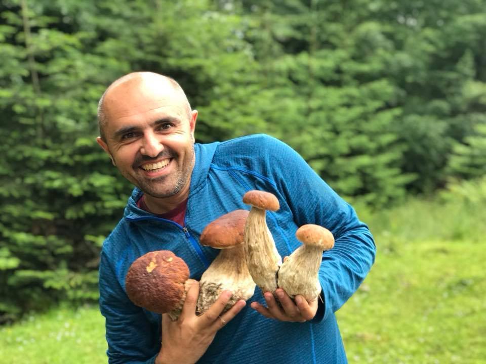Размером с зонт: в Карпатах нашли огромные грибы