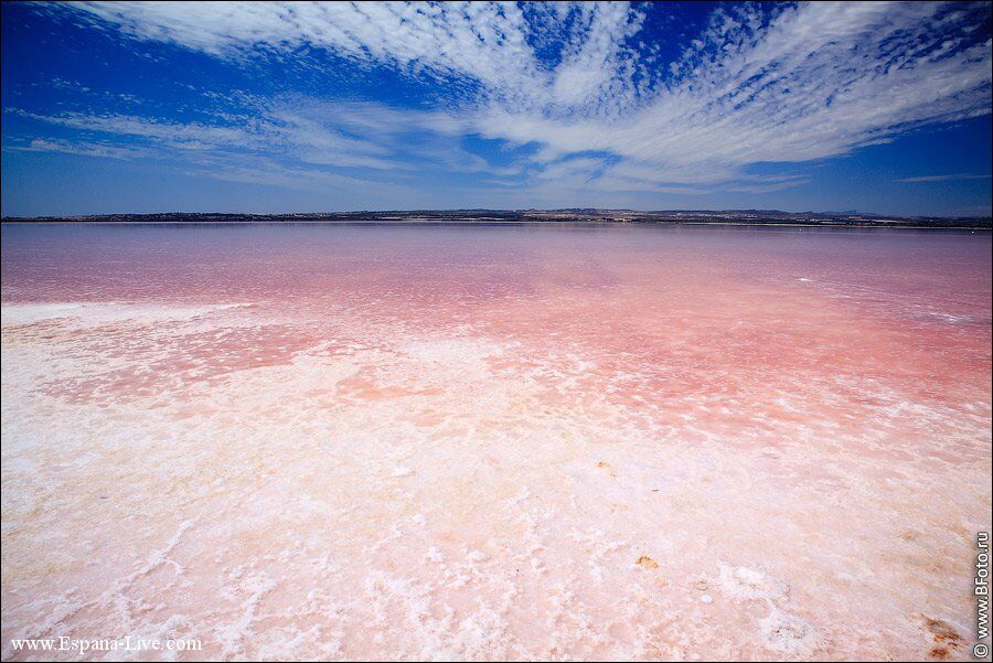 5 найбільш вражаючих рожевих озер світу