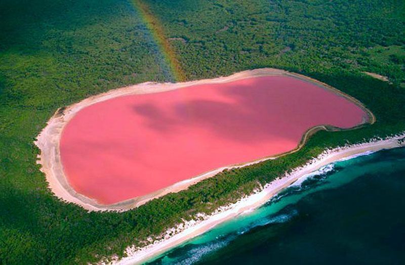 5 самых невероятных розовых озер мира